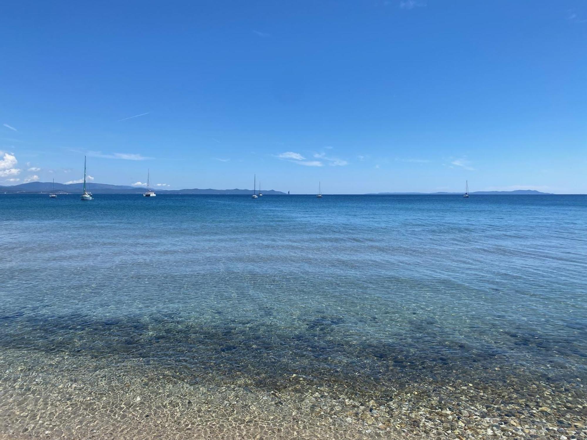 Appartement Les Cigales Rez De Jardin A 10Mn Des Plus Belles Plages Йер Экстерьер фото